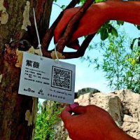 移动手持终端助力园林条码管理