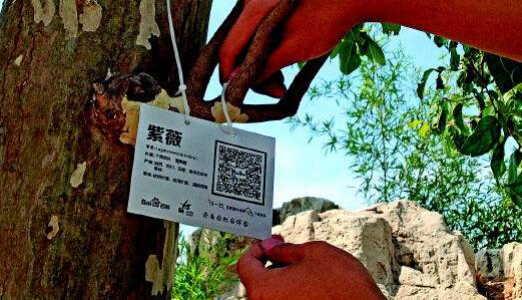 移动手持终端助力园林条码管理